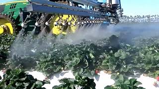 450RC Electrostatic Sprayer  Strawberries [upl. by Tterej]