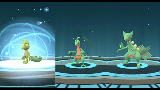 TREECKO evolves into GROVYLE and SCEPTILE in Pokemon GO  Trainer Ari [upl. by Albarran]