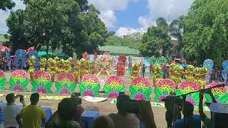 Arriba Biliran Our Queen 👑 dance culture biliran philippines [upl. by Atteuqahc]