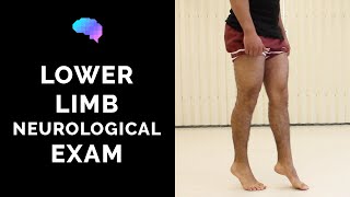 Lower Limb Neurological Examination  OSCE guide old version  UKMLA  CPSA [upl. by Elleinnod]