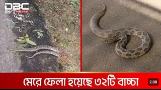 ভয়ংকর রাসেল ভাইপোর সব এখন খুব সতর্ক থাকবেন [upl. by Anuait]