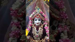 Radhe Radhe Shyam se mila de radhey song shortsvideo [upl. by Magocsi946]