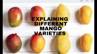 Explaining Different Mango Varieties [upl. by Pelagias]