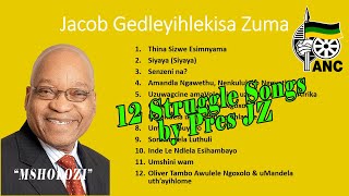 President Jacob Zuma Singing Struggle Songs Compilation w Lyrics amp Translations 1080p [upl. by Eycal]