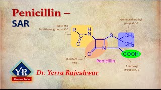 Penicillins  SAR  SAR of Penicillins  Penicillins SAR  YR Pharma Tube  Dr Yerra Rajeshwar [upl. by Raviv]