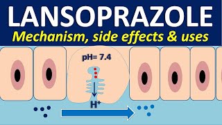 Lansoprazole  Mechanism side effects interactions and uses [upl. by Danzig]