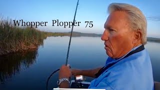 Its a great lureWhopper Plopper 75 [upl. by Weixel]