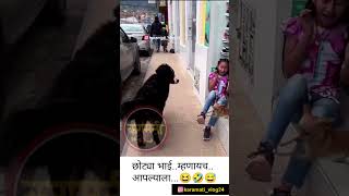 छोट्या भाई म्हणायच मला😄🤣😂😅😜 shots viral comedy karamativlog funnyanimals funny [upl. by Sine]