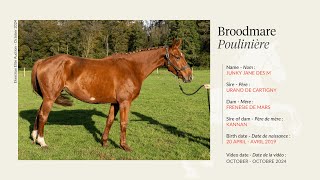 Lot 6  Broodmare Junky Jane des M by Urano de Cartigny [upl. by Noraf]