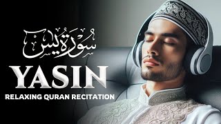 Surah yasin Yaseen سورة يس  Relaxing Voice Tremendous Quran  Dalwun TV [upl. by Naelcm586]