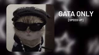 GATA ONLY  SPEED UP VERISON [upl. by Artus]