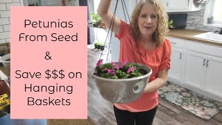 Petunia From Seed and DIY Hanging Baskets [upl. by Quince978]