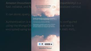 AWS Amazon DocumentDB aws certification exam documentdb ccp saa [upl. by Gine]