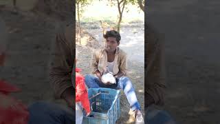 Angrej Babu ka khargosh  funny imotional viralvideo comedy [upl. by Kcajyllib447]