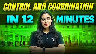 Control And Coordination  Complete Chapter In 12 Minutes  Class 10th Board [upl. by Konyn]