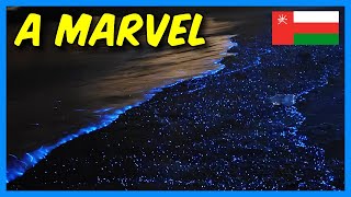 Secret Bioluminescence Beach in Oman 🇴🇲 One of Natures Wonders [upl. by Lovmilla]