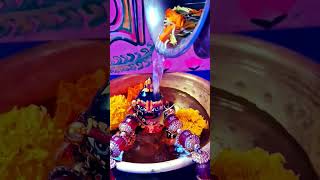 youtubeshorts viralshort pujavibes  radhey  radhe krishna  seva  gangasnan  support plzz🙏💖🙏 [upl. by Rizzo376]