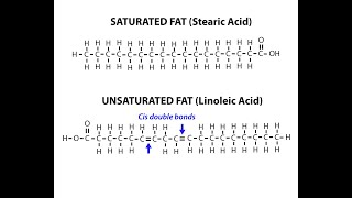 Chemical Structures of Examples of Saturated and Unsaturated Fatty Acids [upl. by Ameh852]