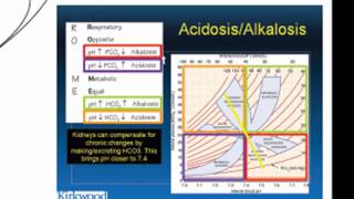 pH Acid Homeostasis Part 2 [upl. by Nalced499]