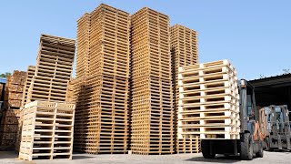 The process of massproducing wooden pallets from giant trees Pallet factory in Korea [upl. by Damiani978]