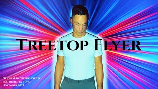 Treetop Flyer Stephen Stills Cover [upl. by Nosam591]