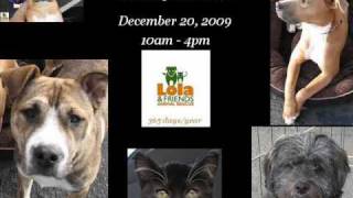 Dog amp Cat Adoption Events  Biweekly [upl. by Eerrehc698]