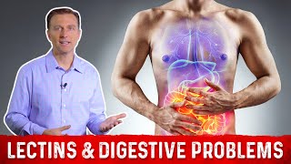 High amp Low Lectin Foods amp Digestive Problems Explained by DrBerg [upl. by Forrest162]