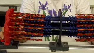 Sliding Filament Sarcomere [upl. by Tyne]