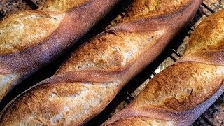 How to Make Baguettes [upl. by Rubens]