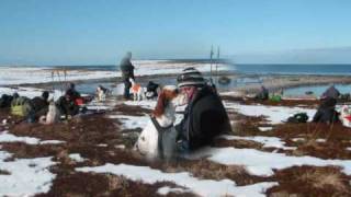 Vinter NM Andøya 20072010 [upl. by Ahtekal]