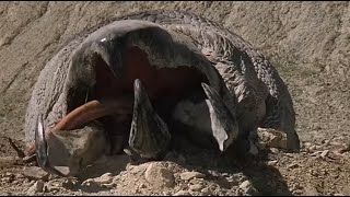 Tremors 2 Aftershocks 1996 All Graboid Scenes main body [upl. by Rina804]