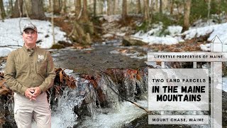 Mountain View Land  Maine Real Estate [upl. by Llatsyrk207]