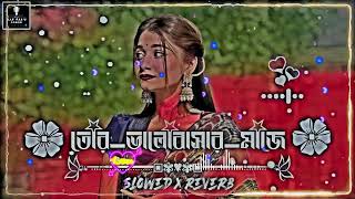 ������ ���������������������� ���������� তর ভলবসর মঝ Slowed  Reverb Bangla Lofi Songs [upl. by Las]