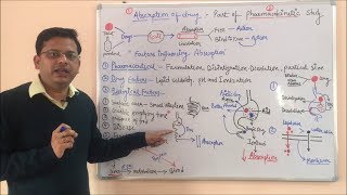 Pharmacokinetic Part 01 Absorption of Drugs  Factors Affecting Drug Absorption  Pharmacokinetics [upl. by Assilem]