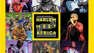 Harlem meet africa festival 2024 [upl. by Rozele]