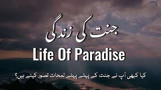 Life Of Paradise  Hadith Of the Day  The Daily Reminder [upl. by Swenson]