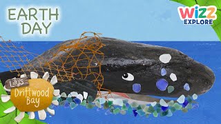 Lilys Driftwood Bay  Save the Sea EarthDay Special  Wizz Explore [upl. by Thorin]