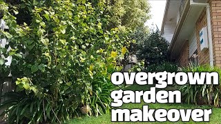 Overgrown garden makeover  Backyard transformation time lapse [upl. by Anjali286]