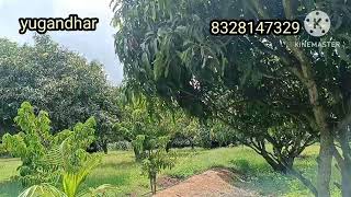 40 acres of mango garden for sale nearby mulbagal [upl. by Doroteya]