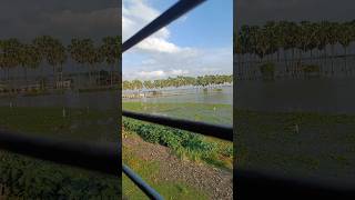 Flooded Area Nearby Ganga Water level of Ganga Train view ganga waterlevel floodarea train view [upl. by Rabka590]