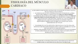 FISIOLOGÍA MÚSCULO CARDIACO EL CORAZÓN COMO BOMBA y LA FUNCIÓN DE LAS VÁLVULAS CARDÍACAS [upl. by Maurilia]