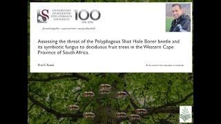 Shot Hole Borer beetle threat and its symbiotic fungus to trees in the WC South Africa F Roets [upl. by Giarc]