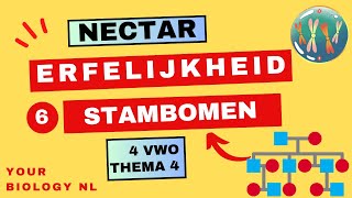 4 vwo  Erfelijkheid  6  Stambomen [upl. by Florrie]