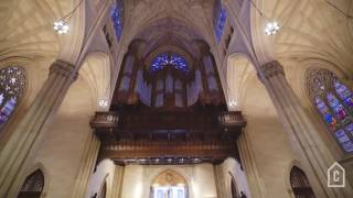 Saint Patricks Cathedral  Curbed Tours [upl. by Gerfen]