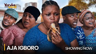 AJA IGBORO Latest 2024 Yoruba Movie Drama Starring Ayo Adesanya Okele Salewa Yusuf [upl. by Akcir925]