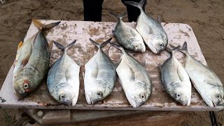 Kovalam Fish Market  கோவளம் மீன் சந்தை புரட்டாசியில் கோவளத்தில் மீன் விலை குறைவாக உள்ளதா [upl. by Ycnaf]