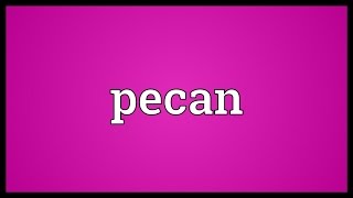 Pecan Meaning [upl. by Onailerua]