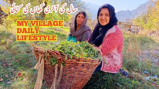 Village Daily Life  Daily Lifestyle Vlog  My Daily Life Vlogs [upl. by Ahseryt]