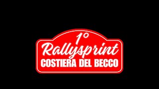 RALLYSPRINT COSTIERA DEL BECCO [upl. by Almire]