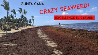 CRAZY SCARY SEAWEED 😯 at Excellence El Carmen [upl. by Esiocnarf]